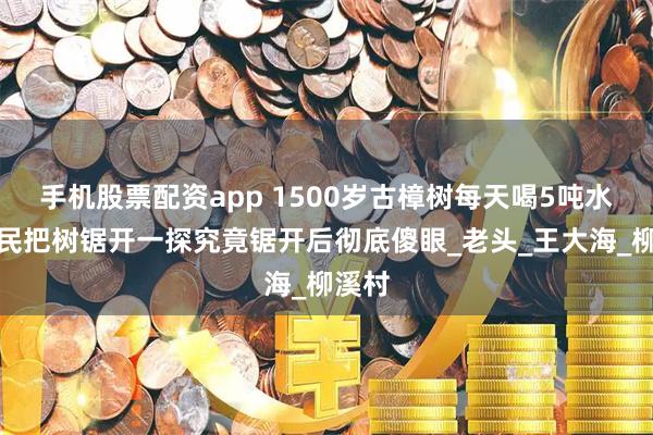 手机股票配资app 1500岁古樟树每天喝5吨水，村民把树锯开一探究竟锯开后彻底傻眼_老头_王大海_柳溪村